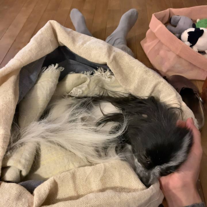 8f64e4ff fdf9 4b84 a022 41573e94bfa7 1551610623551