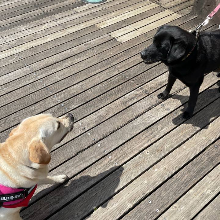 8f64ee09 fcf1 439f bd9a caeb35b067fd 1629349575456