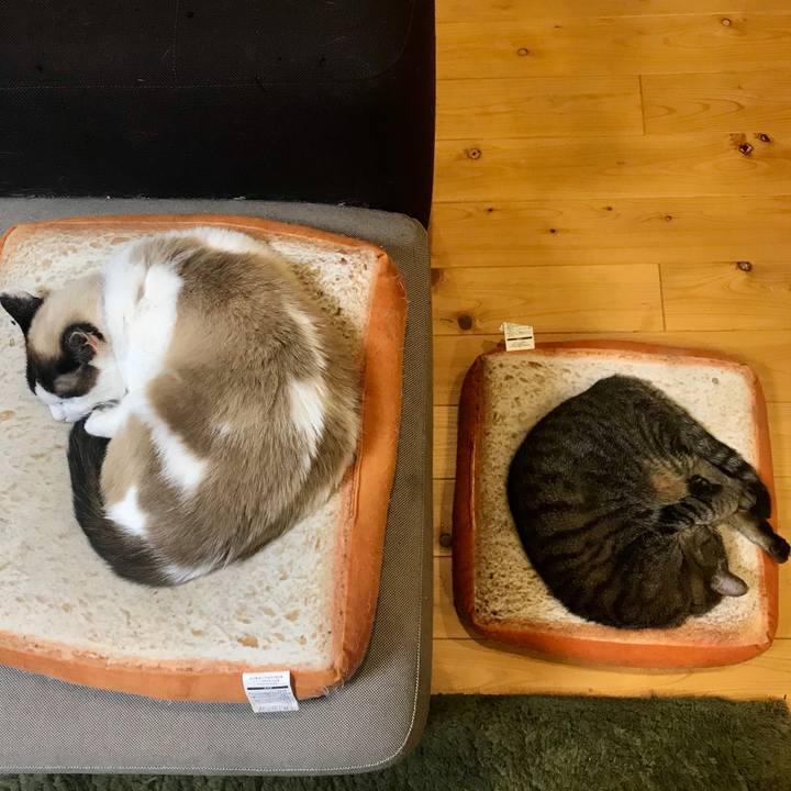 8f64f377 6fce 459a 97d9 8733248a5a8d 1586353135167