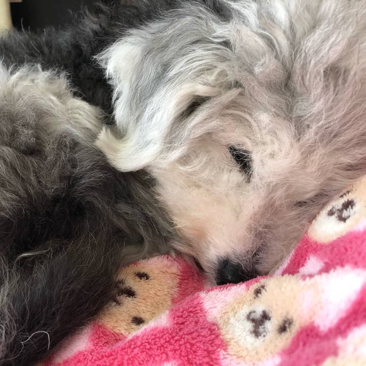 8f650659 a8e7 4734 8e34 6c181fa1ee8e 1666145281279