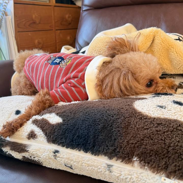 8f6596eb 2cc7 4705 a1f5 98b5c756b0b4 1764375147924