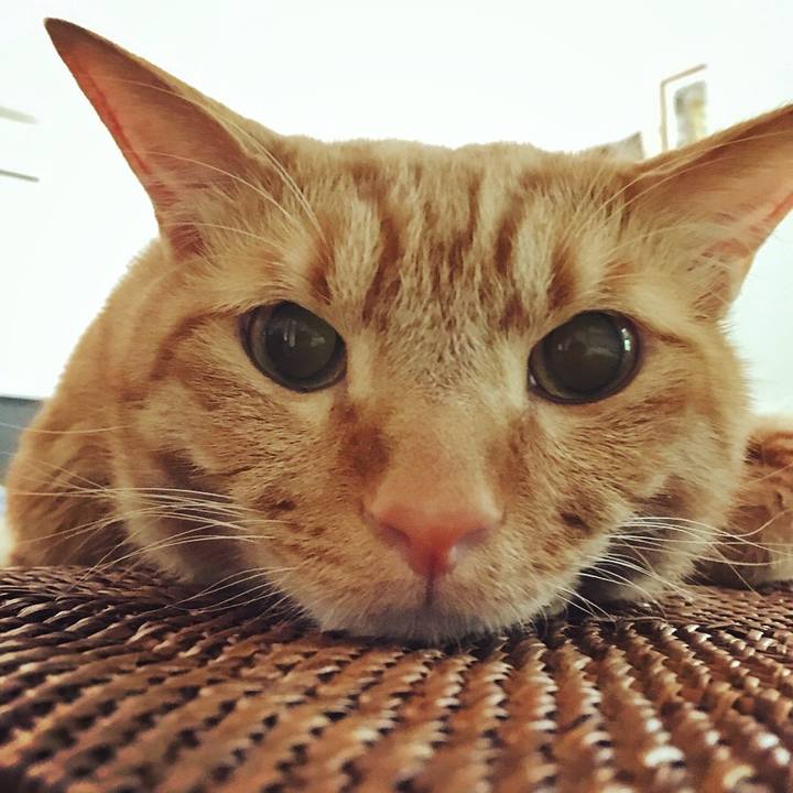 8f65a2e9 e6b4 4b5c 9a0b 83ffb28abca6 1536361751269