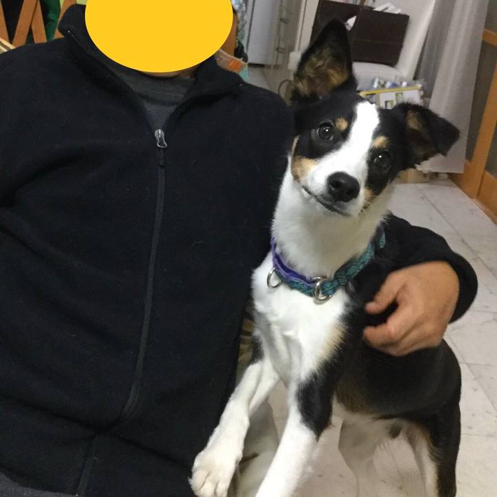 8f65f407 3c37 49ac a52a 564bd1c21475 1582810448874