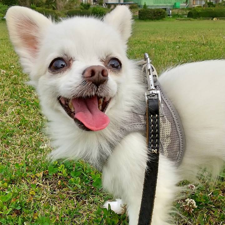 8f661521 dd25 4f18 bc14 ec9ad9c9120f 1588573700599