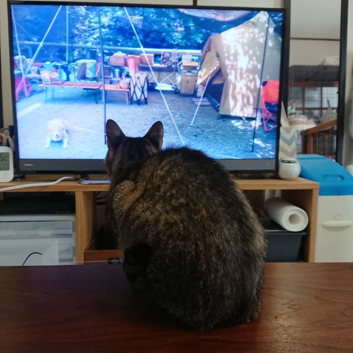 8f661f25 3fa2 4fd4 8ffc 8827569dafd3 1573954082610