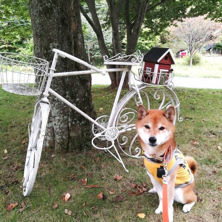 8f667352 d931 490d 88e3 21829bc96670 1665241257068