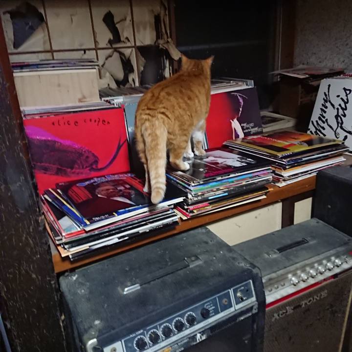 8f667a92 bdc4 48d3 87f3 b430ea89c971 1607939413476