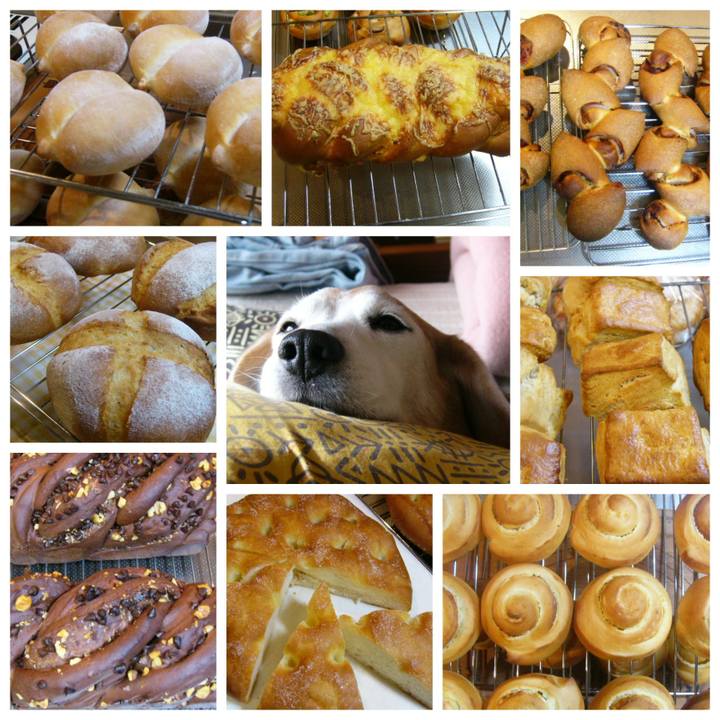 8f6687d8 ffec 41b1 a719 e05ae6c63d67 1677721546645