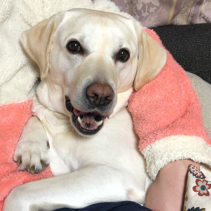 8f66d762 6086 4d48 8426 f97fdcc3e539 1581721713740