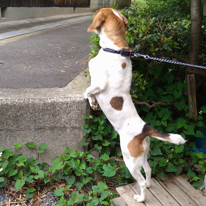 8f66e757 c533 4ddf a1cf 7de175b9f980 1621674762675