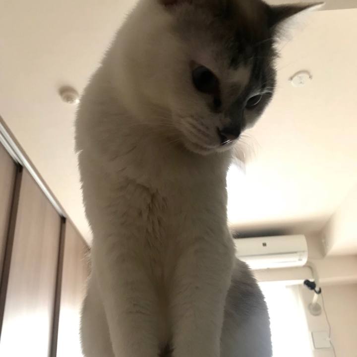 8f672258 c2fd 4661 83b4 05bf1427cd0b 1522796465321