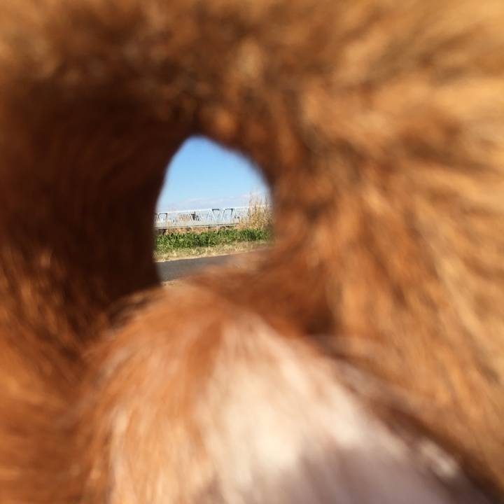 8f673371 5664 4260 80db e0fe5463382d 1514240709316