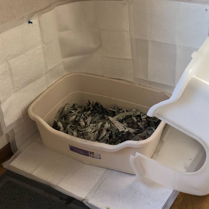 8f6736b1 9779 4ddb 92d0 ba21c47e1886 1600554226444