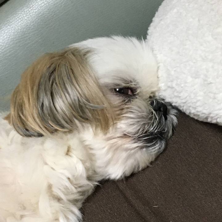 8f676240 7f1a 4f70 b2e3 b60ae048fbb1 1578525339407