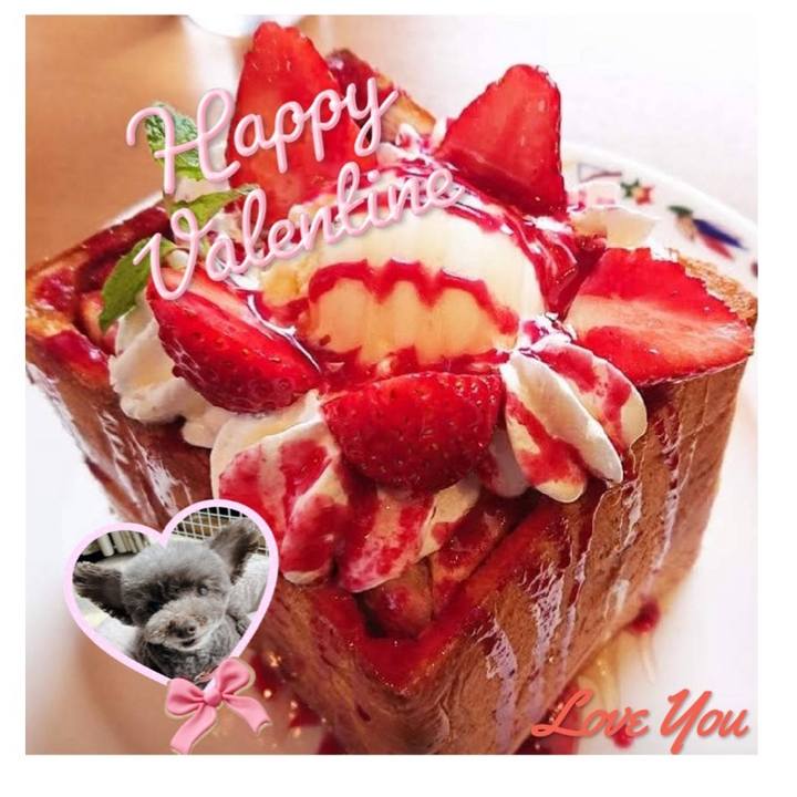 8f6774cc 65a0 4673 8de6 cfc3e01bb62a 1707891118749