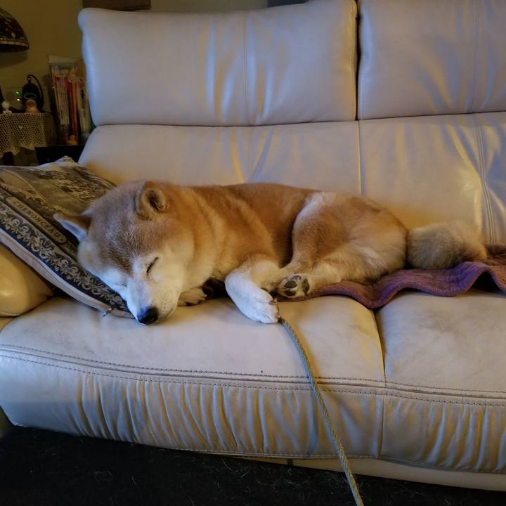 8f6786f9 15ef 4145 9c29 6edb7e2872a8 1699353259287