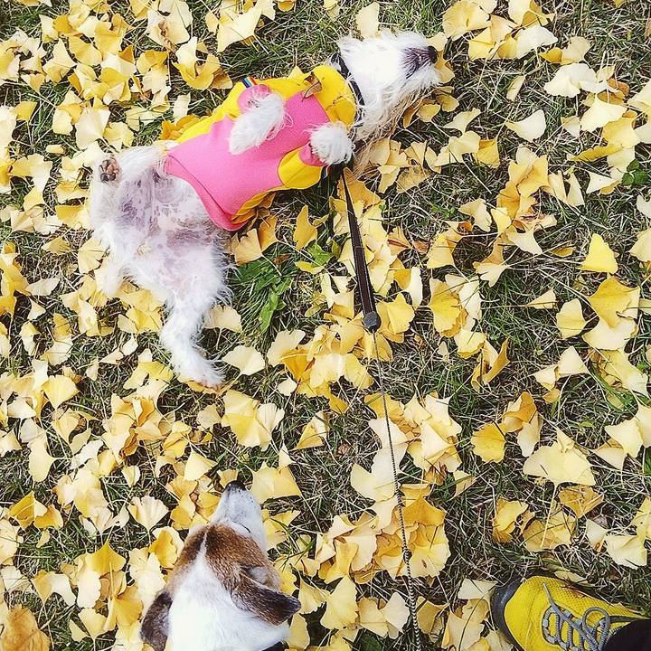 8f67c814 9a43 4082 9506 e31faf12a99a 1575786052251