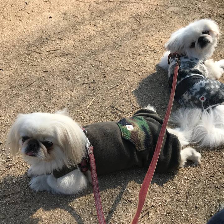 8f67d71a d286 4cb4 a2b9 8f19cb99d97f 1519190001131