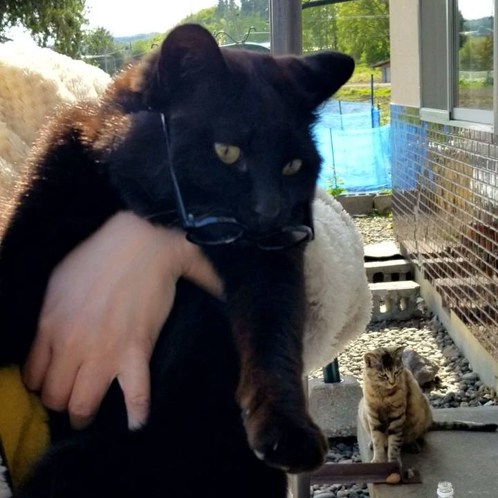 8f67dac5 8cc9 4945 85de 5167fed41ef3 1684855117891