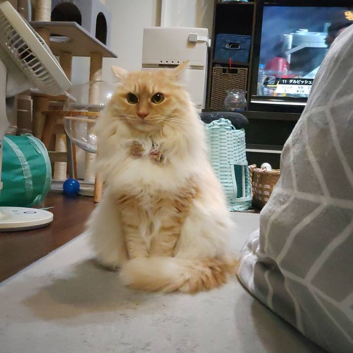 8f67f64f 9ec2 44c1 850b 4496e82d1e95 1710935702960