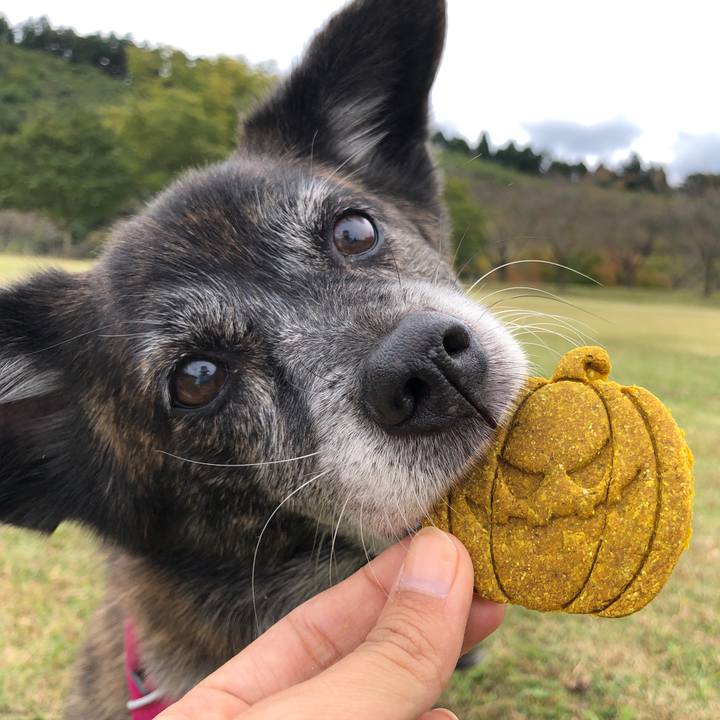 8f681197 f859 49bd b128 87fab993126b 1640302106836