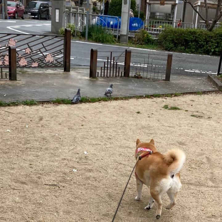 8f684dc0 0380 466a b445 07ee9caa5956 1616652960772