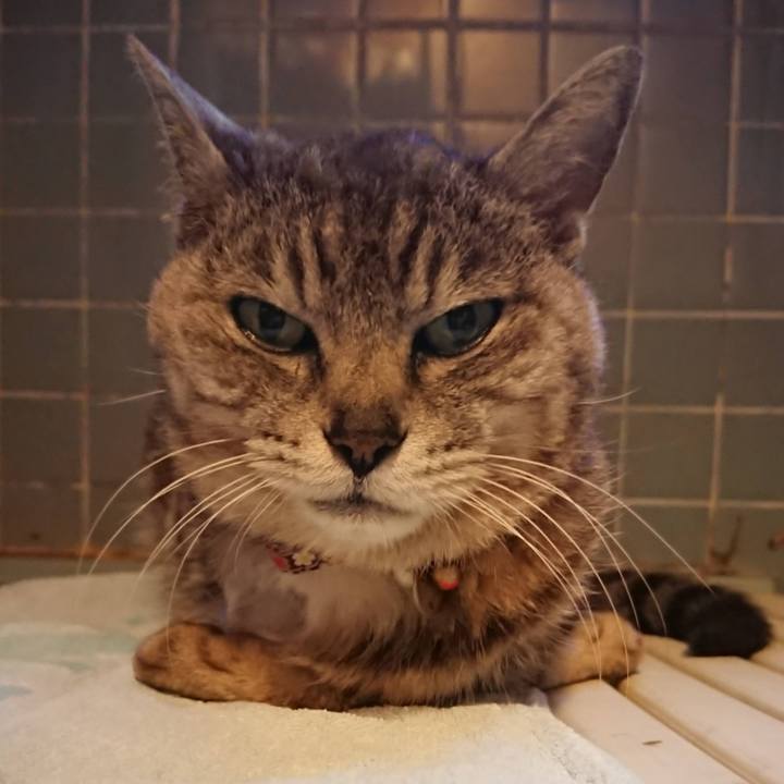 8f68a598 063a 4109 b5ad 903242984833 1662109005124