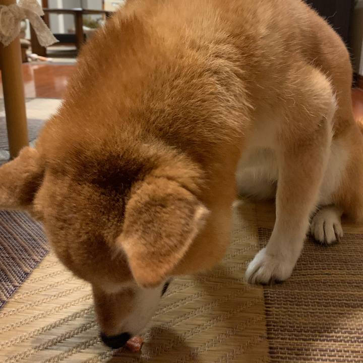 8f68ea22 6907 4b6f bbe0 aa79d6999e76 1592568846093