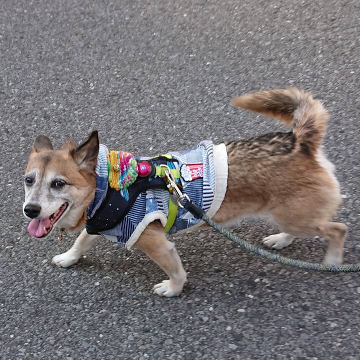 8f68ed84 ce26 4153 87d6 ffca0d6be5c5 1551013107795