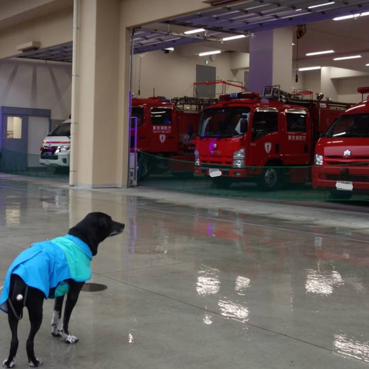 8f694591 d5d7 4930 ba11 5c58fc48c9de 1679790574472