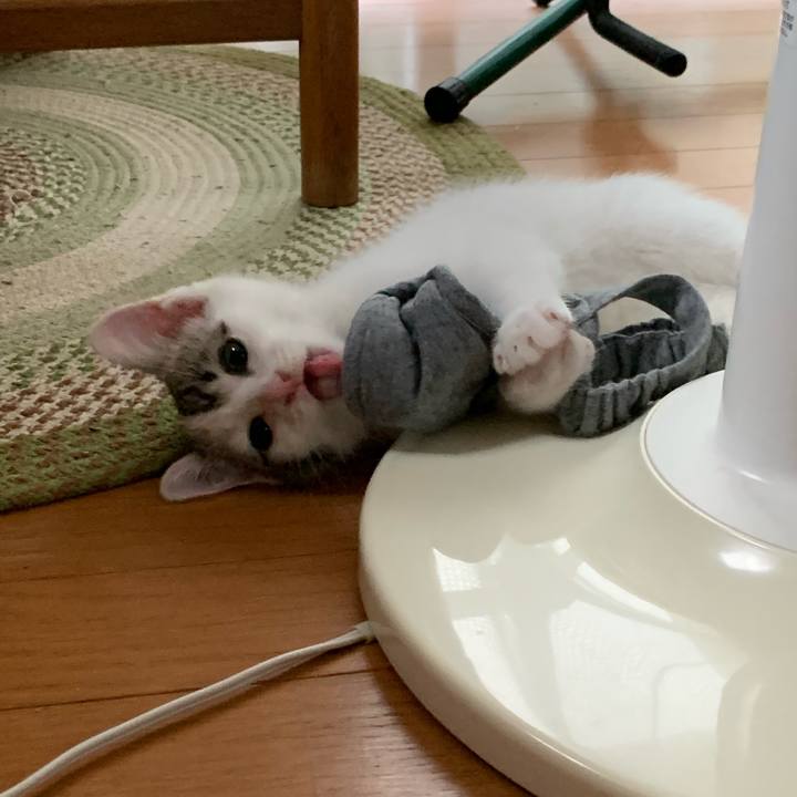 8f6951b1 9450 4b7d 8cb3 6f0239009e26 1592442805555