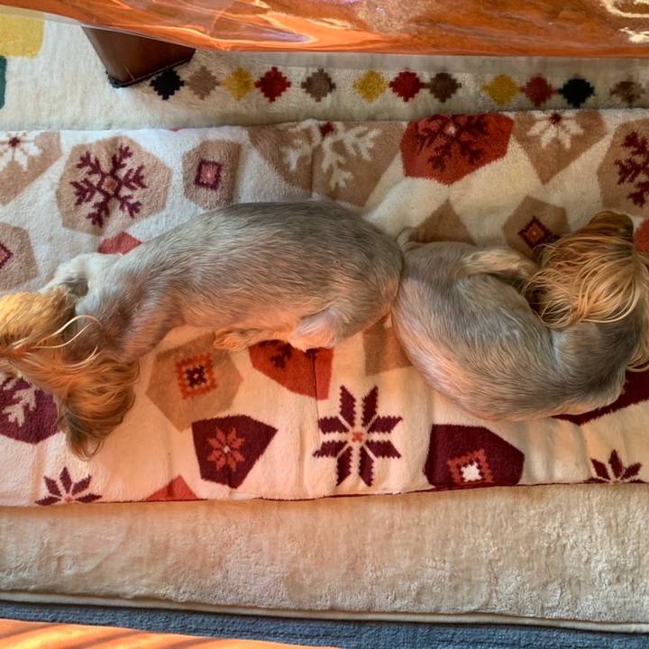 8f695cd4 9cfd 4bf2 9e6c 161255948746 1635502221368