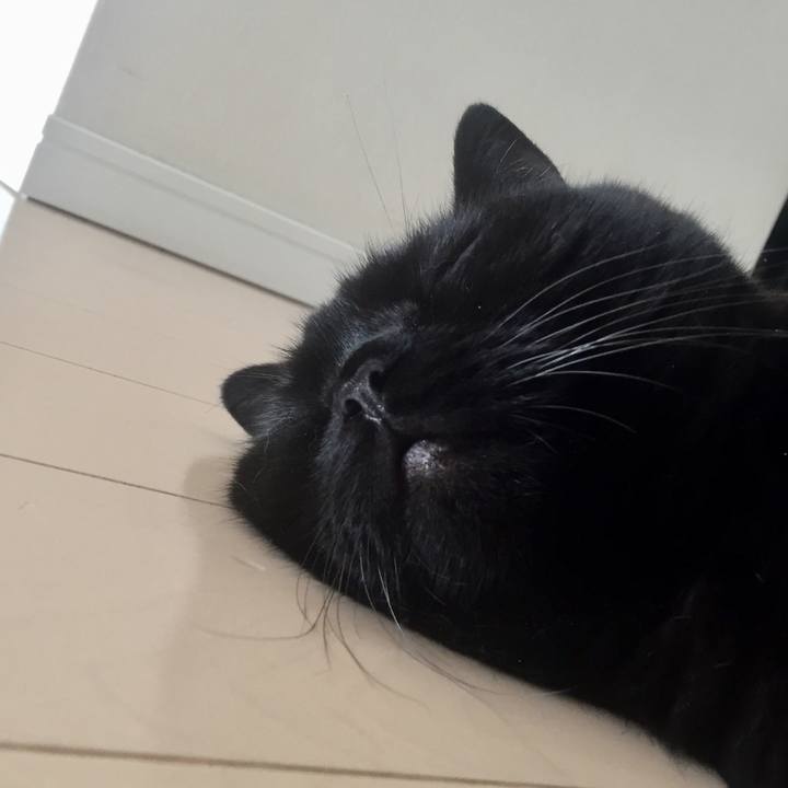 8f697b09 259a 410e a13f 931592be653b 1595121671446