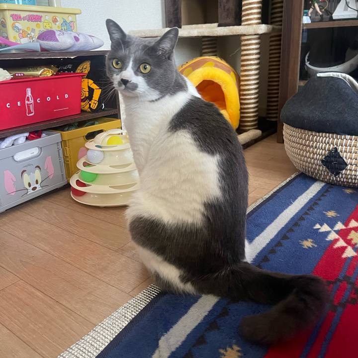 8f69919f 12ab 448a b560 0d7c56bfaaf1 1683506769251