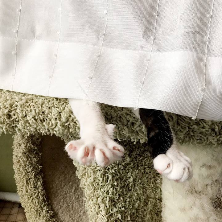 8f69a034 39c6 4174 9845 480bddf84461 1534644175508