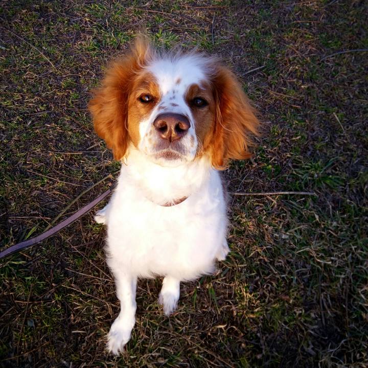 8f69b58f 881c 47b7 8846 e65c42e50afc 1521633939106