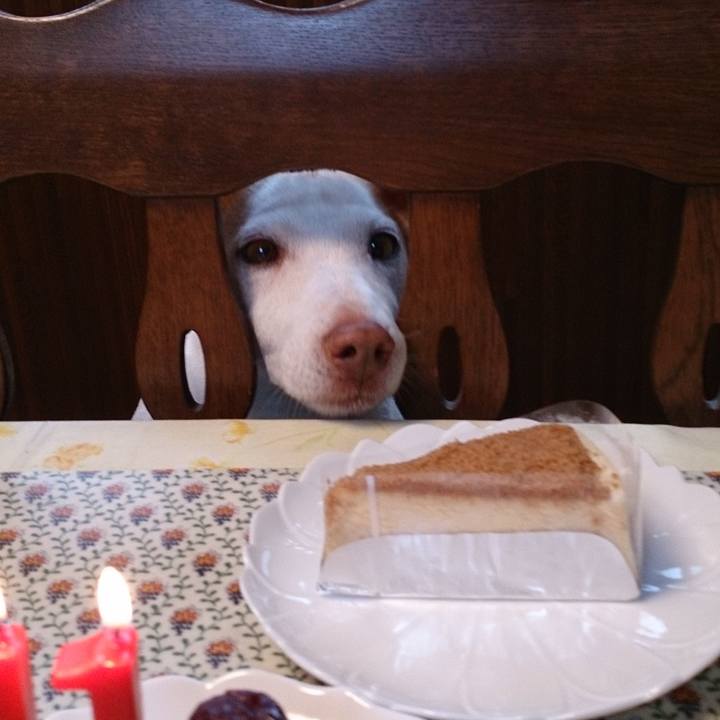 8f69d992 7d97 41ab 8585 835b542893b7 1621985137921