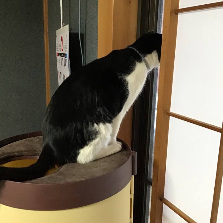 8f69e23b 75a7 473f 98d9 404c5a6f27fc 1644452504305