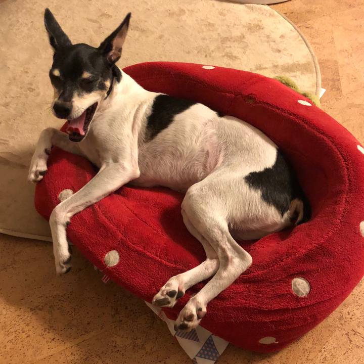 8f6a0deb 11af 4be1 b69f c06d2149836b 1539695522492