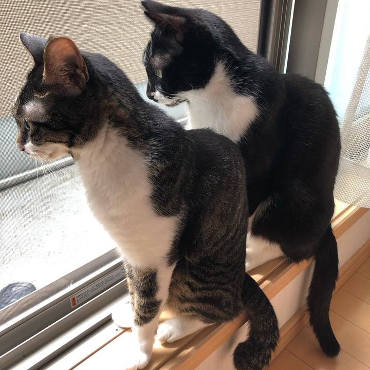 8f6a5f12 e2db 4855 8e1b 6b3919d2d6f3 1632429587177