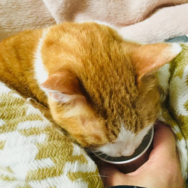 8f6a9147 2e83 4420 abca 814fa92cdd8e 1562819734565