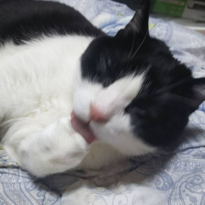 8f6af38d 86dc 4b4a a8aa b19b159ff440 1579269031591