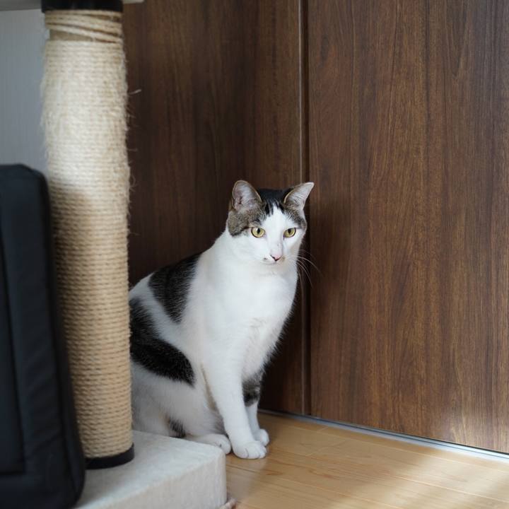 8f6af99f f438 48f3 889a 3086e0619ed7 1552522574332