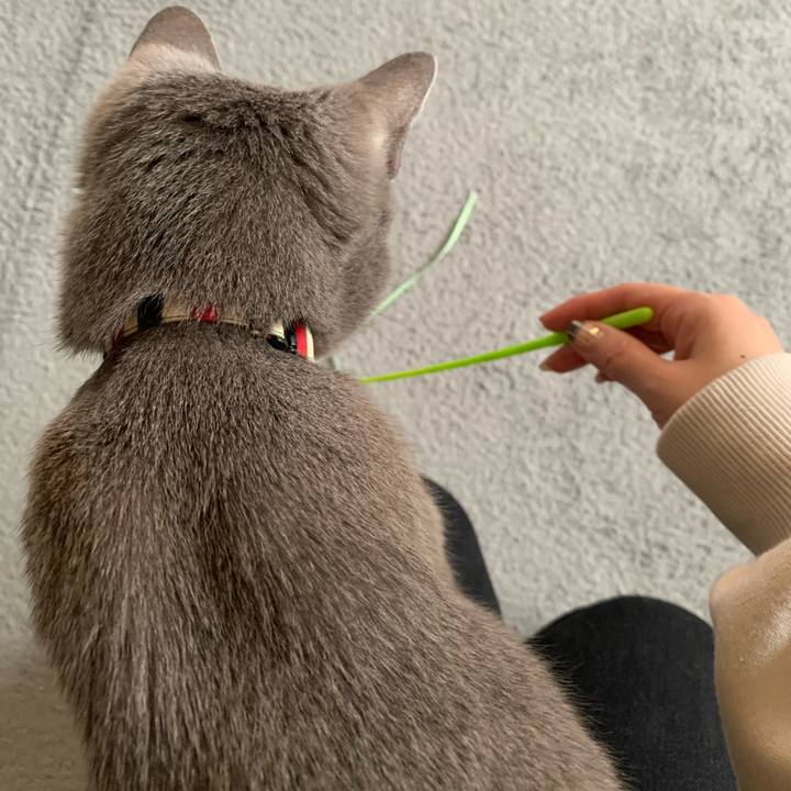 8f6b1b73 183e 4bb7 bb18 9cf9ca9048f0 1665283145940