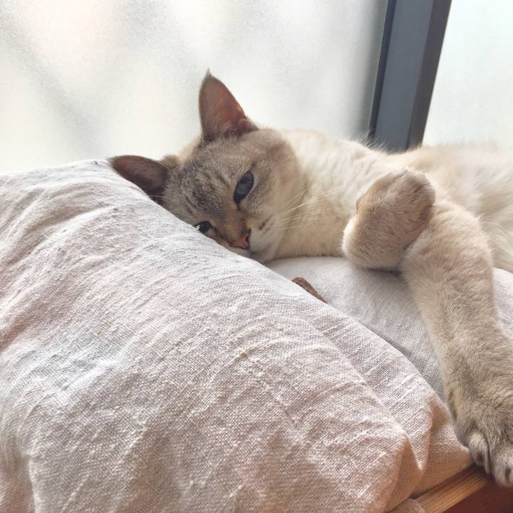 8f6b6548 daeb 48cb 96d2 977a9f3cc921 1561792798508