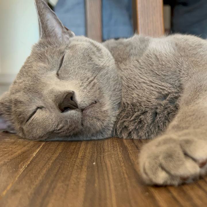 8f6b658f 18a9 4172 be8f 291bec00d3fe 1741950851131