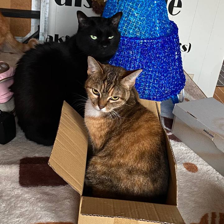 8f6b8ec1 e073 4bae 83ea 1d5d11eb5732 1577342353467