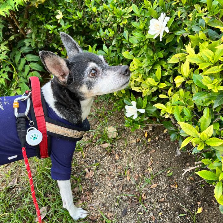 8f6bb37a 5efe 40de a006 2ade88b0d291 1654551815042