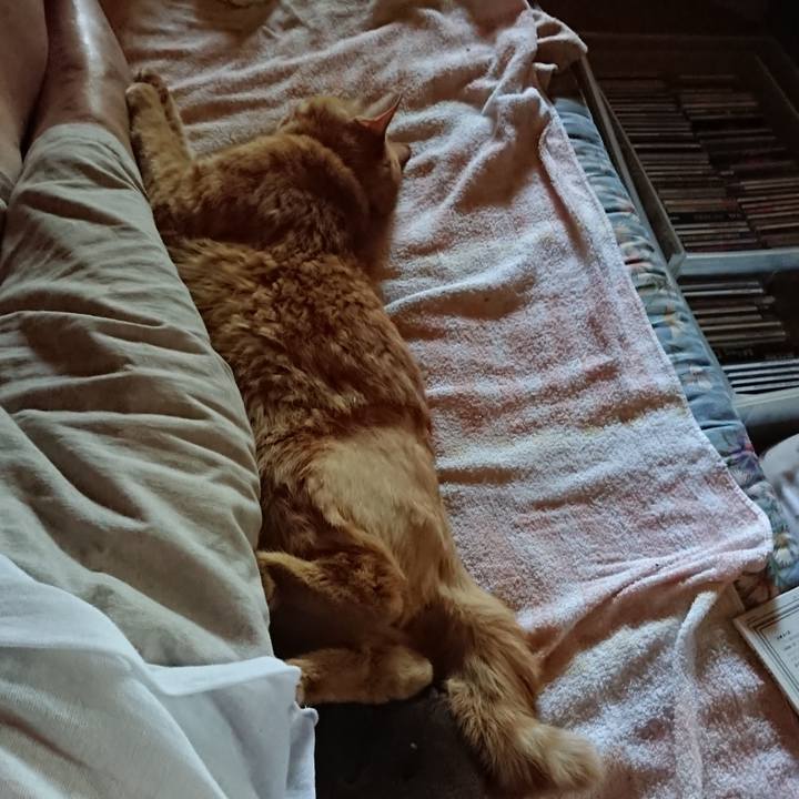 8f6bb64c 1950 4afd 8cf0 7ee4f8bdb603 1659242621030