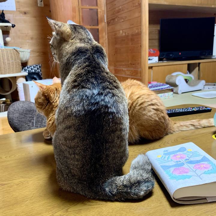 8f6befc6 22e9 40c6 a15b 50c934711d45 1611581124362